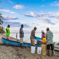 How Many Countries Does It Take To Save A Fish?