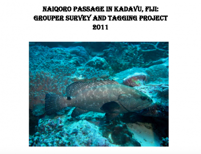 Kadavu Naiqoro Passage Report