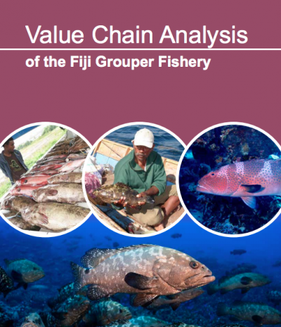 Value Chain Analysis of the Fiji Grouper Fishery