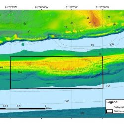 United States protects multi-species fish spawning aggregations in Florida